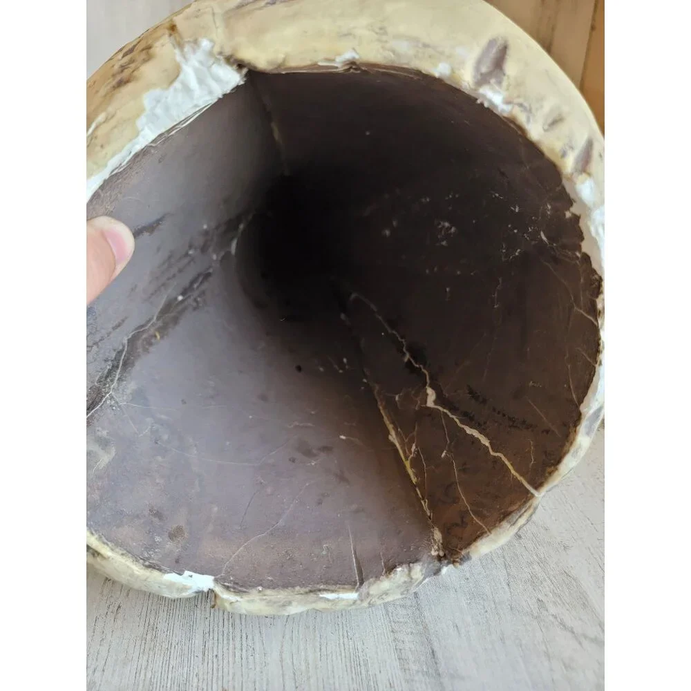 Skull large foam AS IS head Halloween prop home decor bowl unique‎